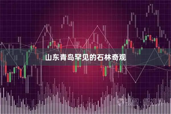 山东青岛罕见的石林奇观
