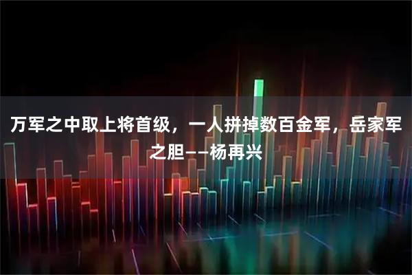 万军之中取上将首级，一人拼掉数百金军，岳家军之胆——杨再兴